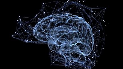Neuroscience is at the heart of Mindfulness www.nottinghammindfulnessgroup.co.uk